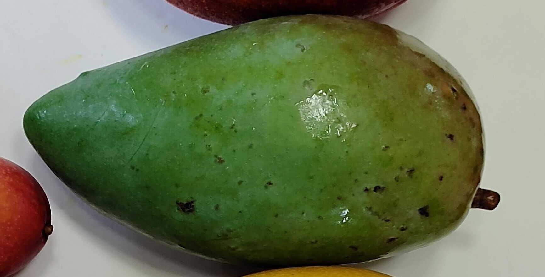 熱帯果実の女王 沖縄県産マンゴー３種類食べ比べセット ご家庭用 1002グラム②